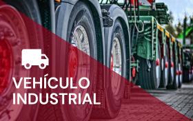 VEHÍCULO INDUSTRIAL